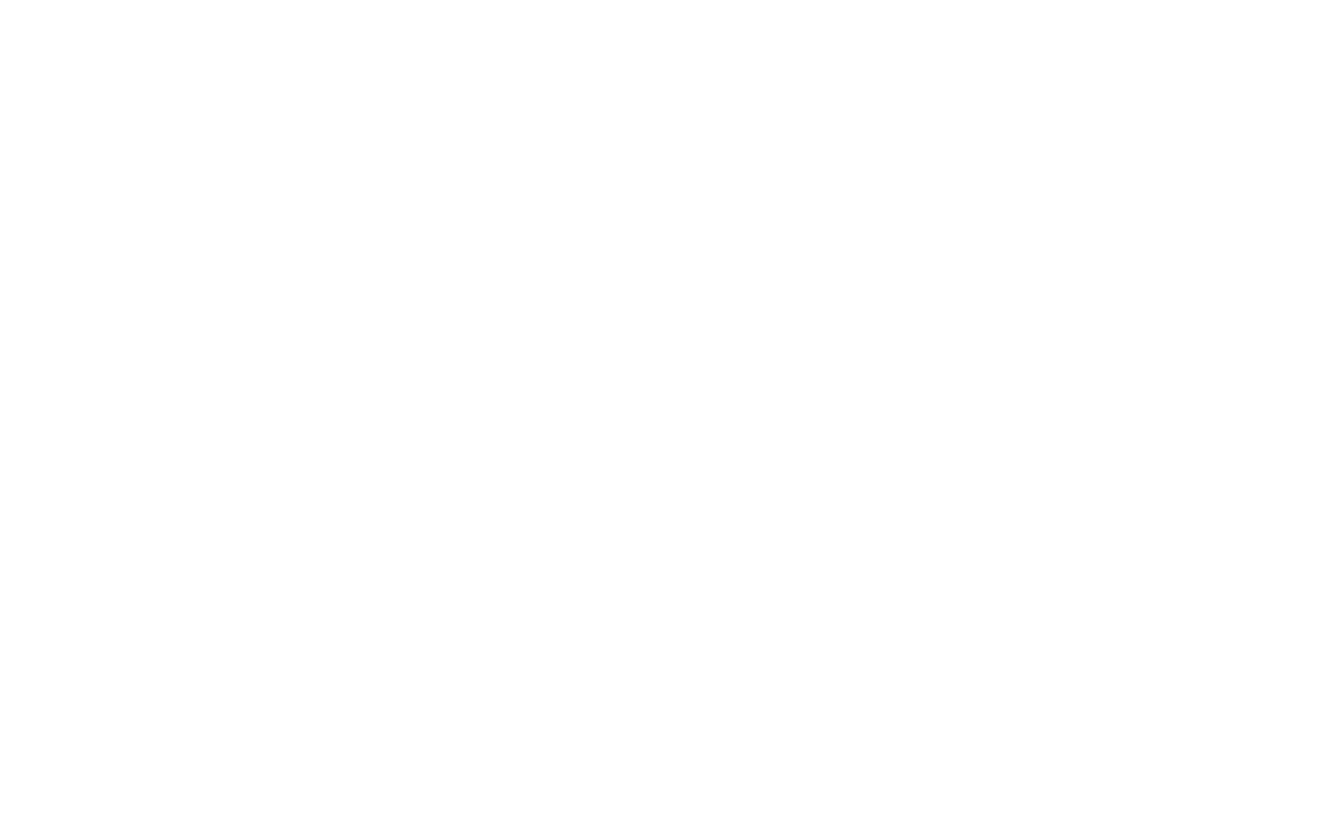 THE CHINA WIFE MOTORS